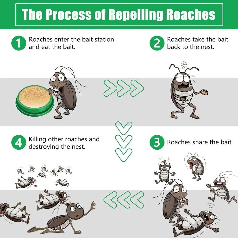 Cockroach Killer Gel (Pack of 2, 4 & 8)