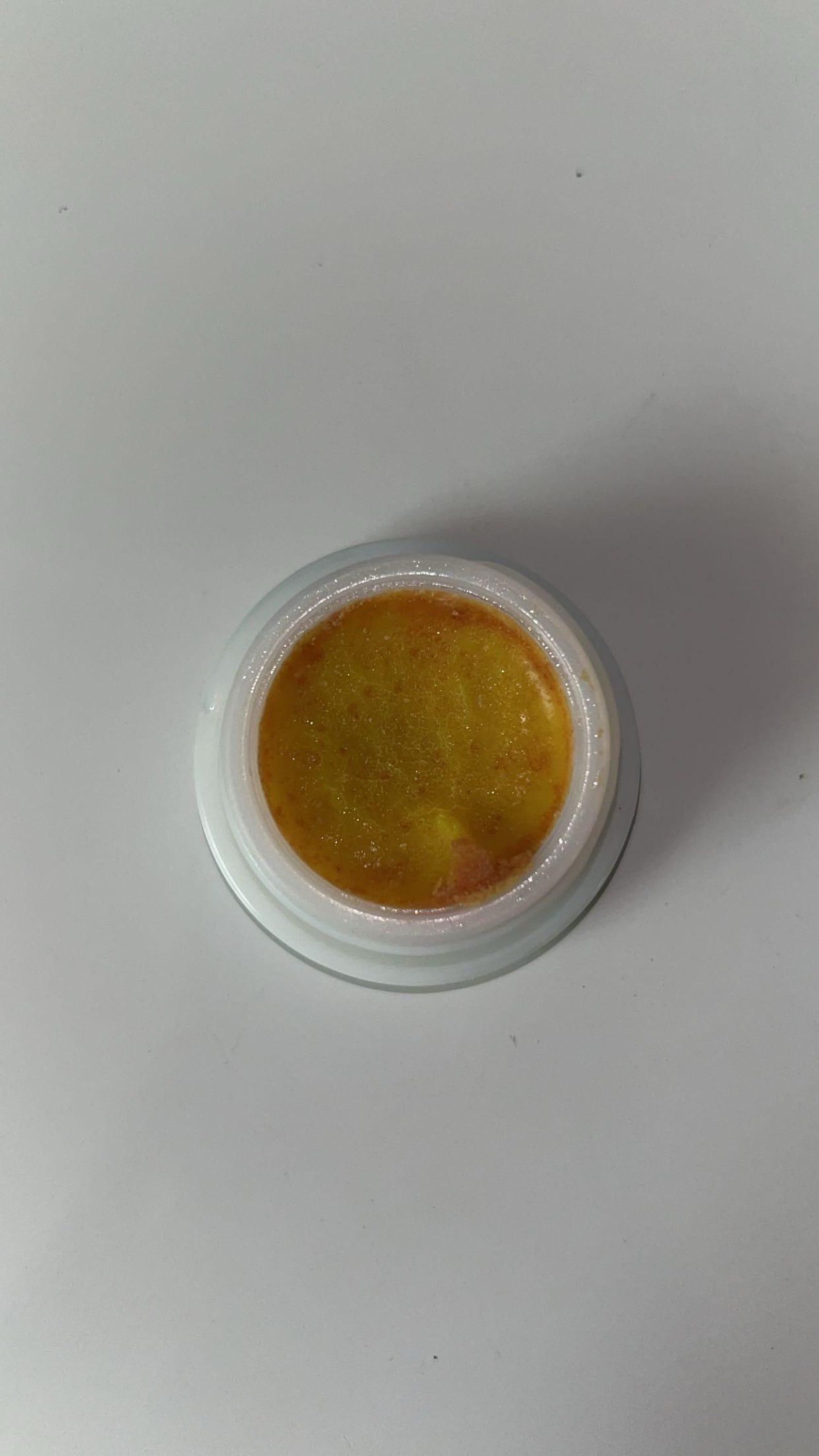 Cockroach Killer Gel (Pack of 2, 4 & 8)